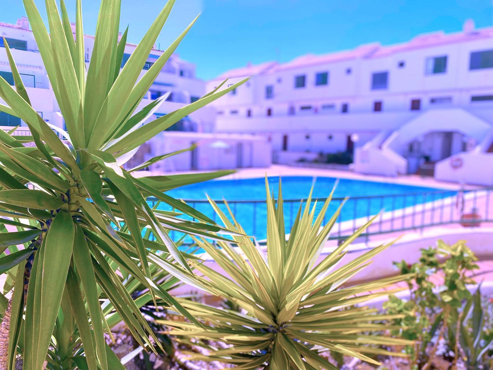 Apartmán Tropicalidays Sunset Palm Costa Del Silencio Exteriér fotografie